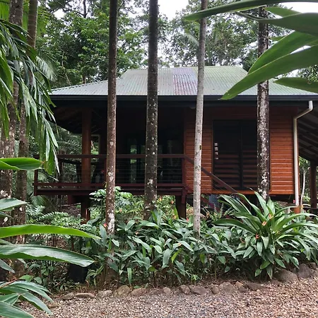 Wildwood Villa Cape Tribulation Exterior photo