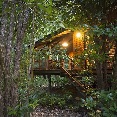Wildwood Villa Cape Tribulation Exterior photo