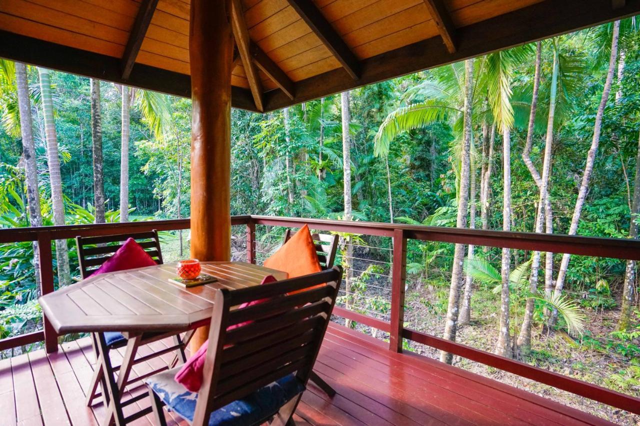 Farm stay Wildwood Cape Tribulation