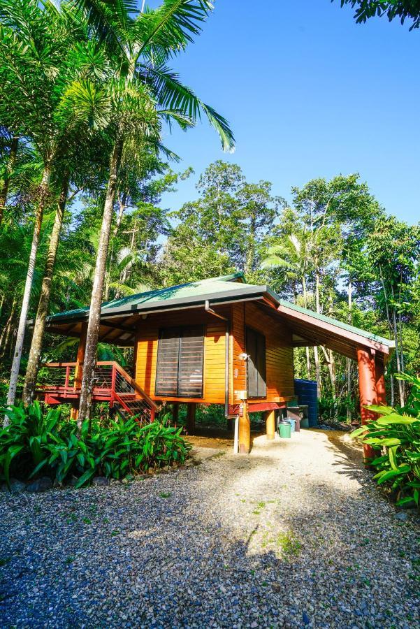 Wildwood * Cape Tribulation