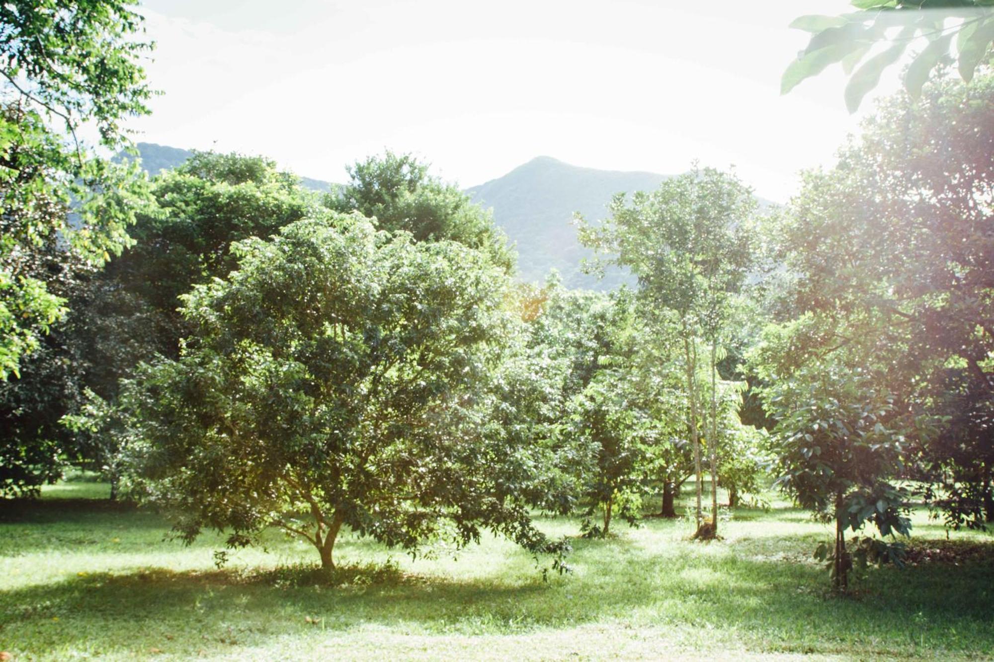 Farm stay Wildwood