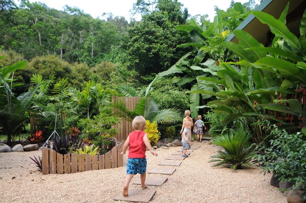 Farm stay Wildwood Cape Tribulation