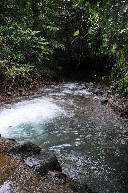 Wildwood * Cape Tribulation
